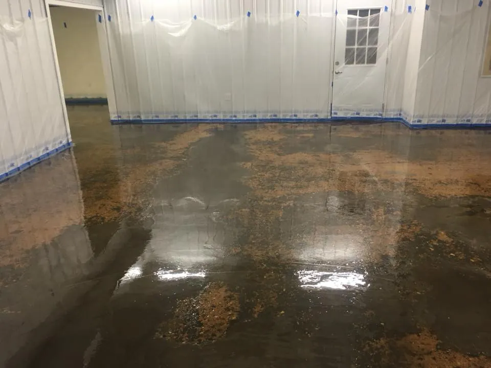 Commercial floor coating St. Petersburg
